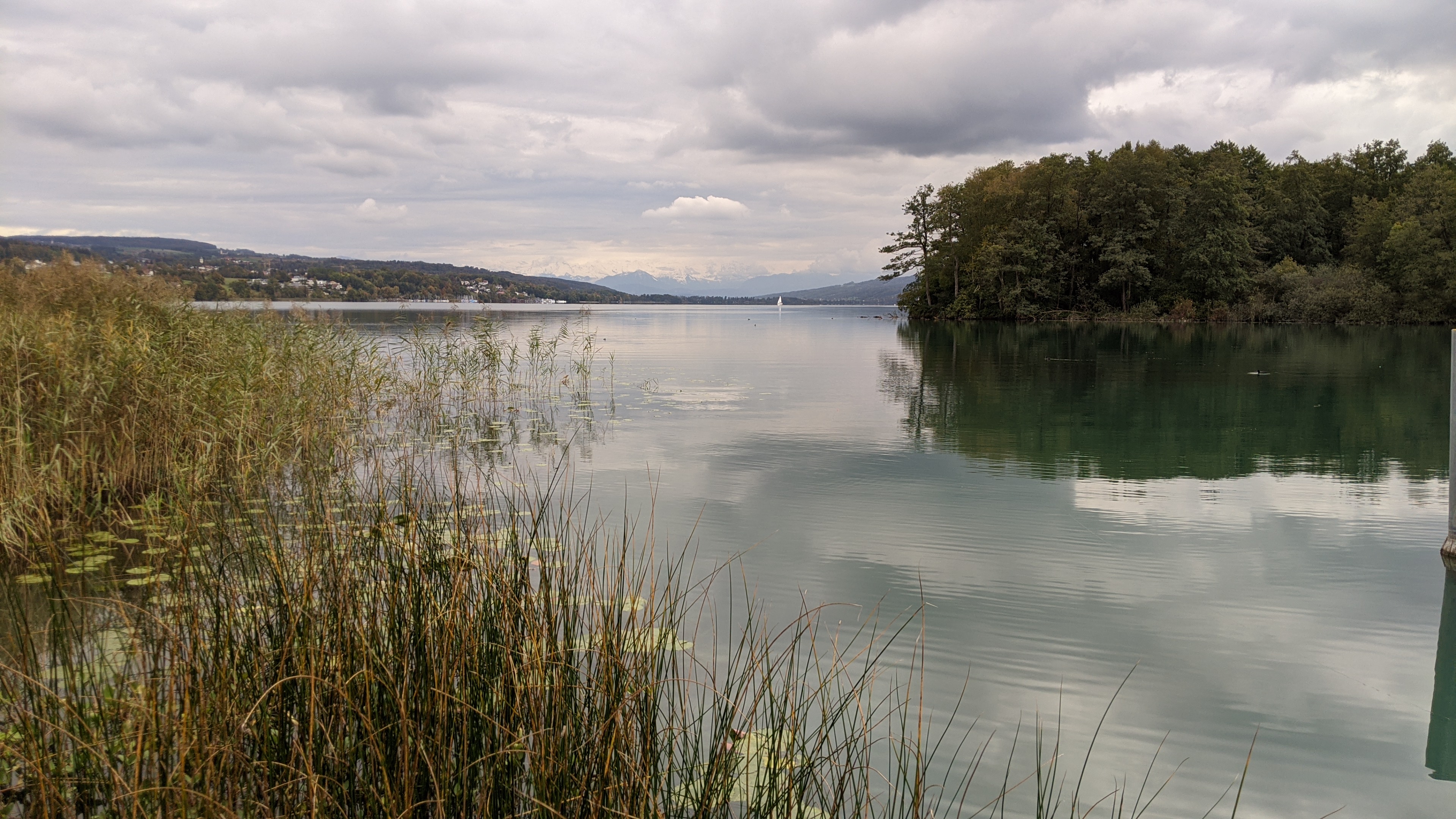 Hallwilersee / ハルヴィラー湖